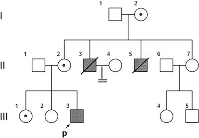 Case Report: A Novel Truncating Variant of NR0B1 Presented With X-Linked Late-Onset Adrenal Hypoplasia Congenita With Hypogonadotropic Hypogonadism